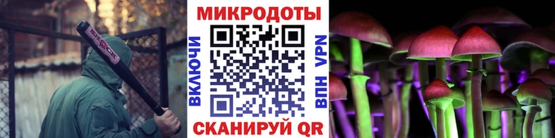купить   Братск  Псилоцибиновые грибы Magic Shrooms 